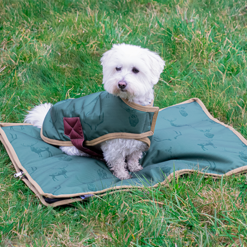 Benji and Flo Divine Deer Dog Rug Coat - Moss/Merlot/Fawn-1